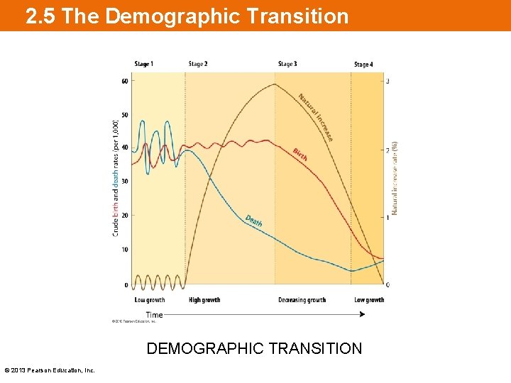 2. 5 The Demographic Transition DEMOGRAPHIC TRANSITION © 2013 Pearson Education, Inc. 