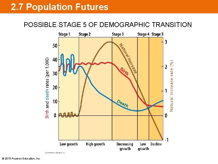 2. 7 Population Futures POSSIBLE STAGE 5 OF DEMOGRAPHIC TRANSITION © 2013 Pearson Education,