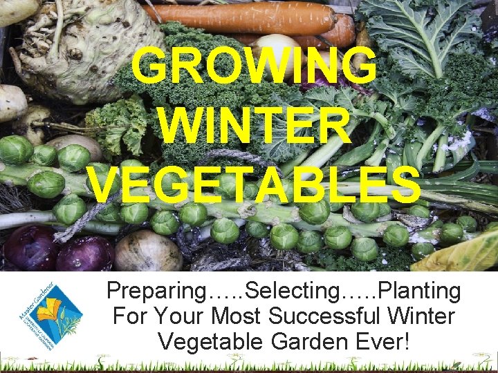 GROWING WINTER VEGETABLES Preparing…. . Selecting…. . Planting For Your Most Successful Winter Vegetable