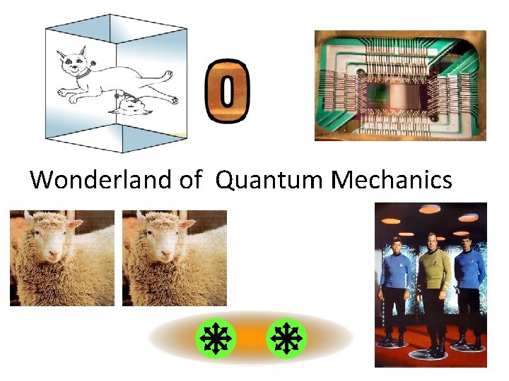 Wonderland of Quantum Mechanics 