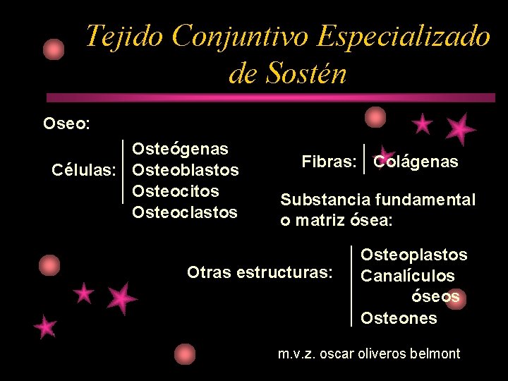 Tejido Conjuntivo Especializado de Sostén Oseo: Osteógenas Células: Osteoblastos Osteocitos Osteoclastos Fibras: Colágenas Substancia