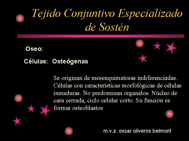 Tejido Conjuntivo Especializado de Sostén Oseo: Células: Osteógenas Se originan de mesenquimatosas indiferenciadas. Células