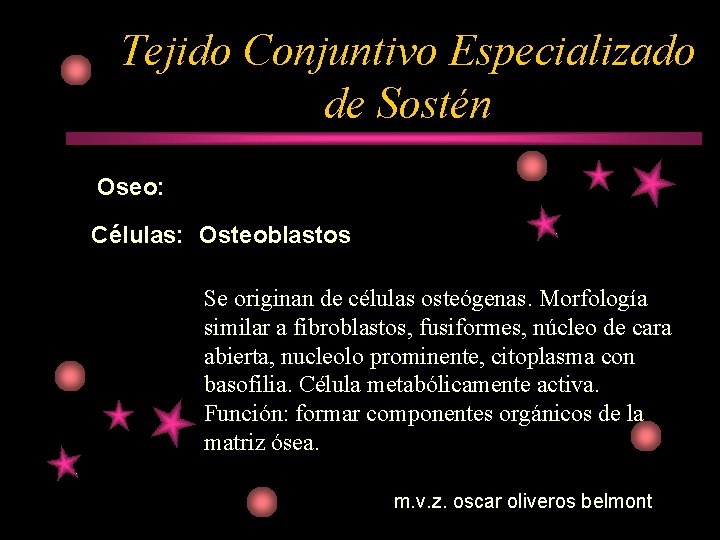 Tejido Conjuntivo Especializado de Sostén Oseo: Células: Osteoblastos Se originan de células osteógenas. Morfología