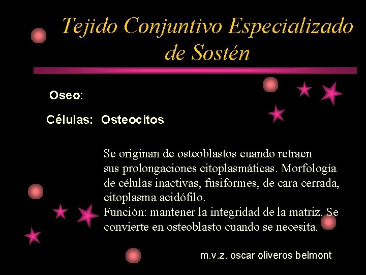 Tejido Conjuntivo Especializado de Sostén Oseo: Células: Osteocitos Se originan de osteoblastos cuando retraen