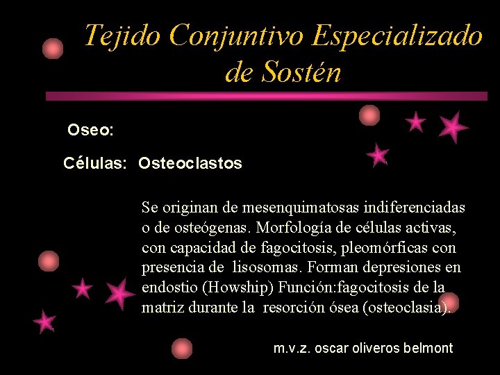 Tejido Conjuntivo Especializado de Sostén Oseo: Células: Osteoclastos Se originan de mesenquimatosas indiferenciadas o