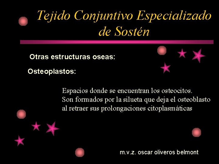 Tejido Conjuntivo Especializado de Sostén Otras estructuras oseas: Osteoplastos: Espacios donde se encuentran los