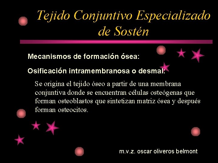 Tejido Conjuntivo Especializado de Sostén Mecanismos de formación ósea: Osificación intramembranosa o desmal: Se