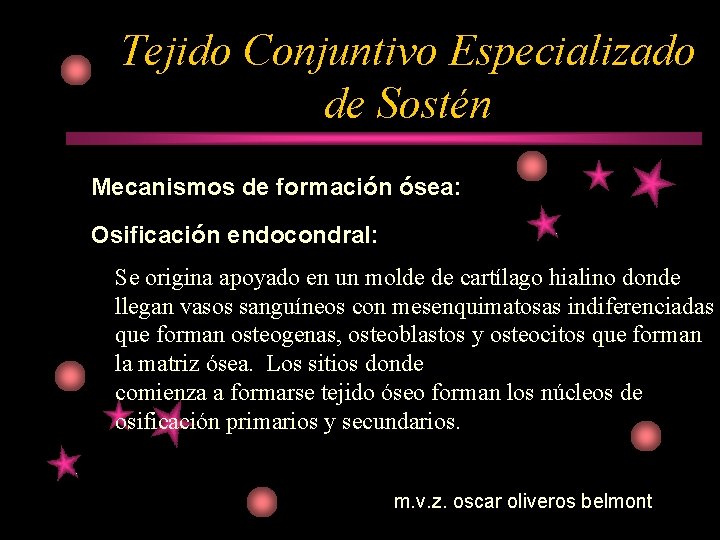 Tejido Conjuntivo Especializado de Sostén Mecanismos de formación ósea: Osificación endocondral: Se origina apoyado