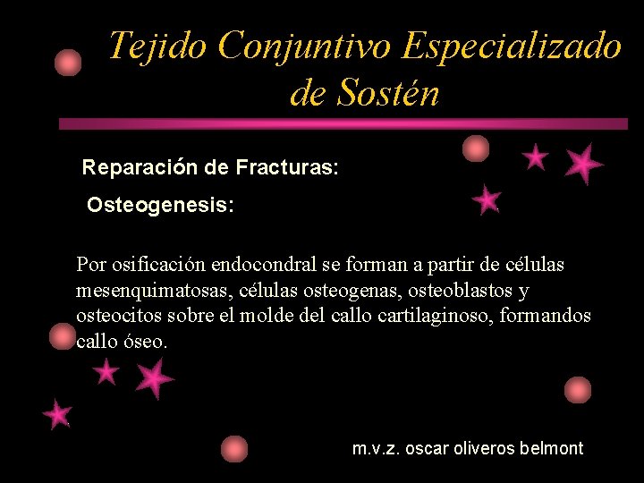 Tejido Conjuntivo Especializado de Sostén Reparación de Fracturas: Osteogenesis: Por osificación endocondral se forman