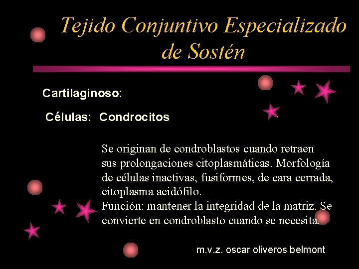 Tejido Conjuntivo Especializado de Sostén Cartilaginoso: Células: Condrocitos Se originan de condroblastos cuando retraen