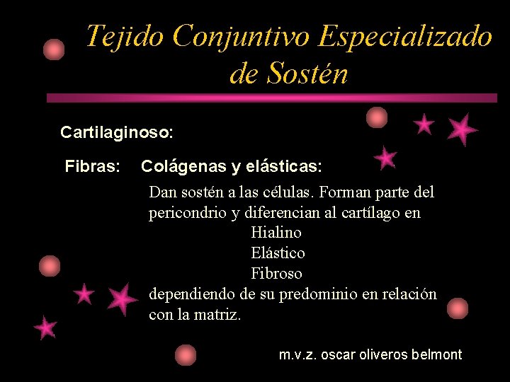 Tejido Conjuntivo Especializado de Sostén Cartilaginoso: Fibras: Colágenas y elásticas: Dan sostén a las