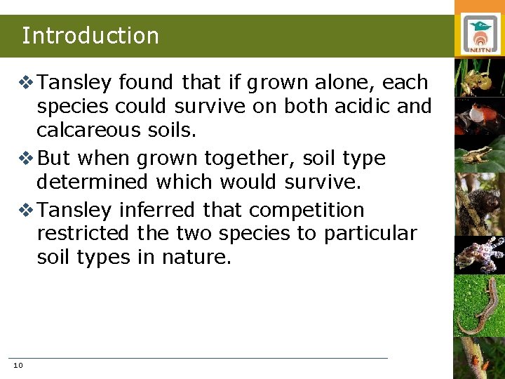 Introduction v Tansley found that if grown alone, each species could survive on both