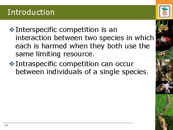 Introduction v Interspecific competition is an interaction between two species in which each is