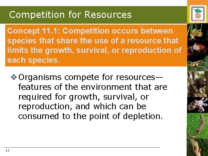 Competition for Resources Concept 11. 1: Competition occurs between species that share the use