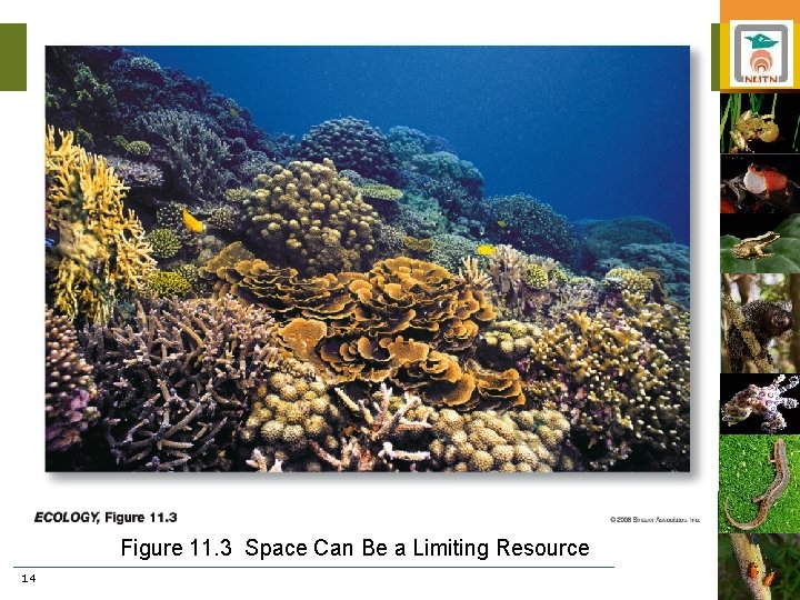 Figure 11. 3 Space Can Be a Limiting Resource 14 
