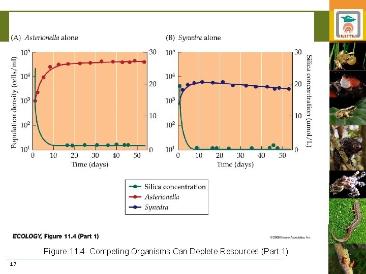 Figure 11. 4 Competing Organisms Can Deplete Resources (Part 1) 17 