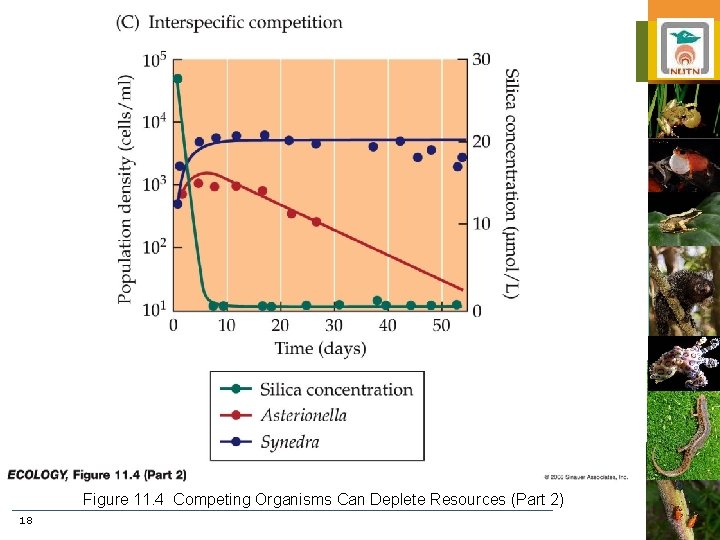 Figure 11. 4 Competing Organisms Can Deplete Resources (Part 2) 18 