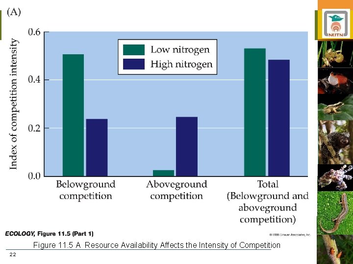 Figure 11. 5 A Resource Availability Affects the Intensity of Competition 22 