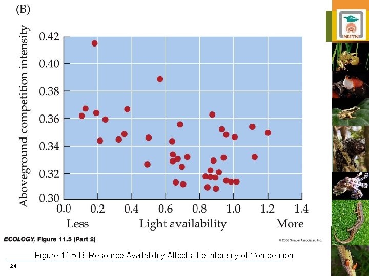 Figure 11. 5 B Resource Availability Affects the Intensity of Competition 24 
