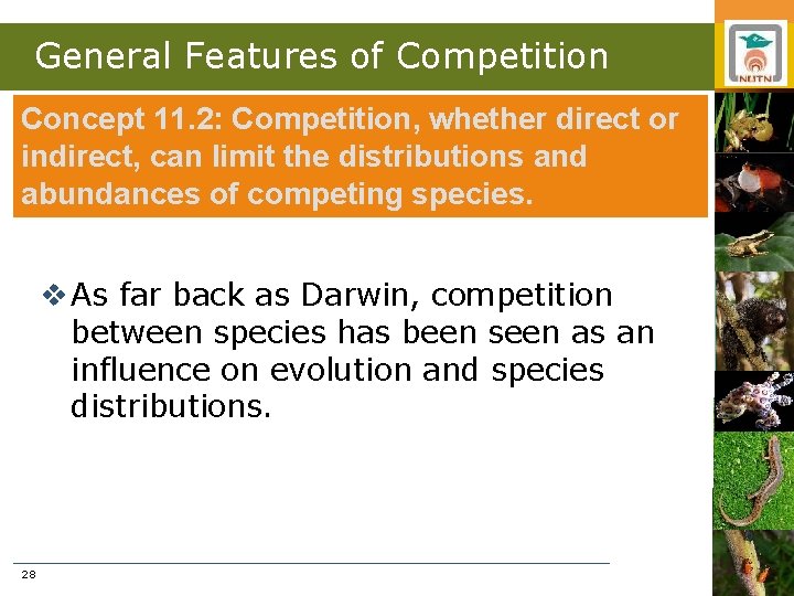 General Features of Competition Concept 11. 2: Competition, whether direct or indirect, can limit