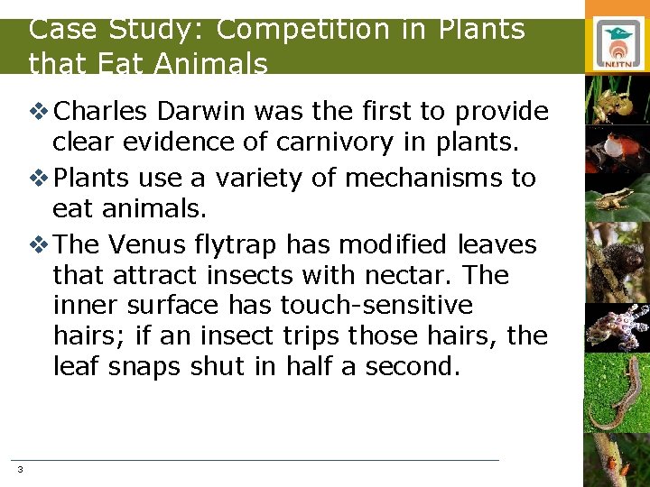 Case Study: Competition in Plants that Eat Animals v Charles Darwin was the first