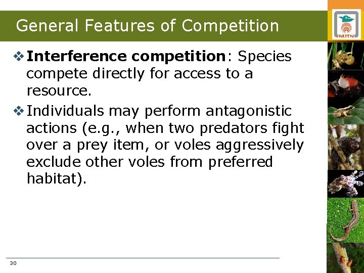 General Features of Competition v Interference competition: Species compete directly for access to a