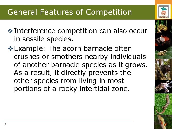 General Features of Competition v Interference competition can also occur in sessile species. v