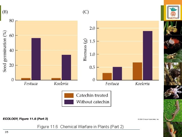 Figure 11. 6 Chemical Warfare in Plants (Part 2) 35 