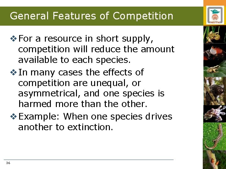 General Features of Competition v For a resource in short supply, competition will reduce