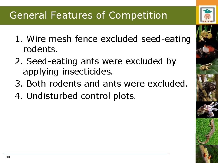 General Features of Competition 1. Wire mesh fence excluded seed-eating rodents. 2. Seed-eating ants