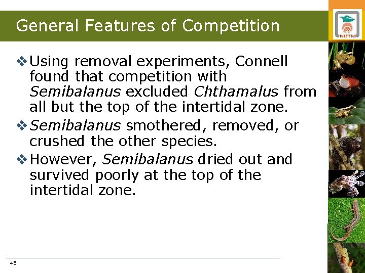 General Features of Competition v Using removal experiments, Connell found that competition with Semibalanus