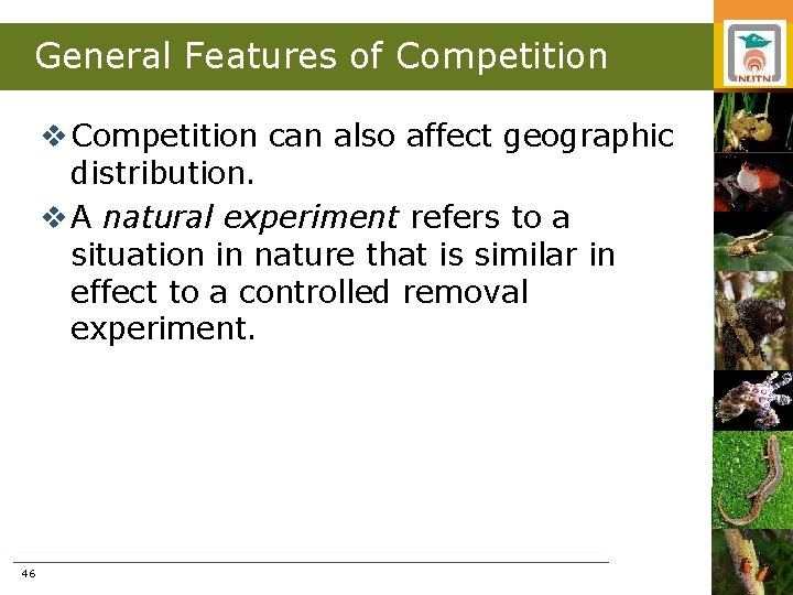 General Features of Competition v Competition can also affect geographic distribution. v A natural