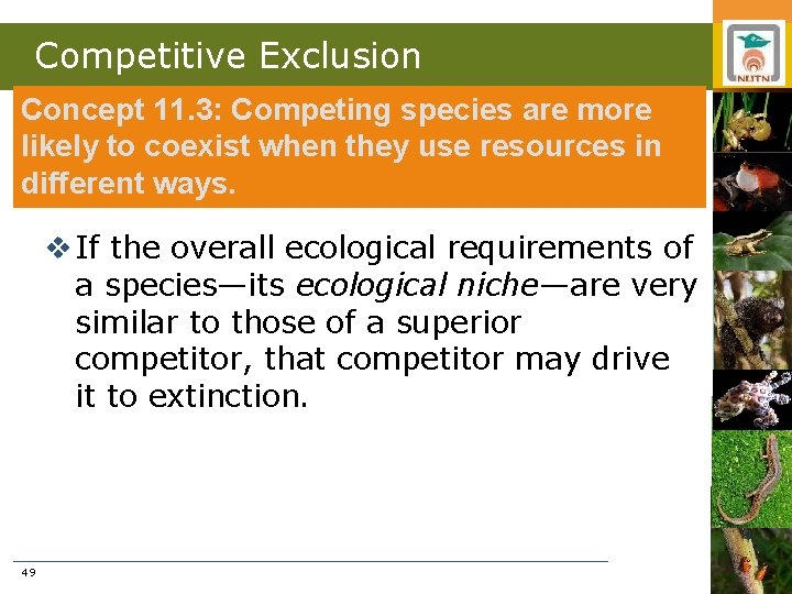 Competitive Exclusion Concept 11. 3: Competing species are more likely to coexist when they