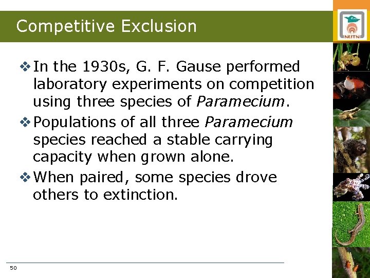 Competitive Exclusion v In the 1930 s, G. F. Gause performed laboratory experiments on