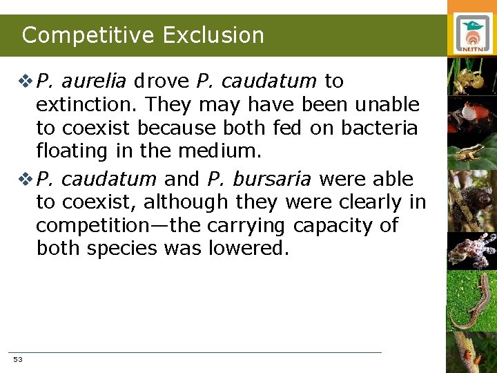 Competitive Exclusion v P. aurelia drove P. caudatum to extinction. They may have been