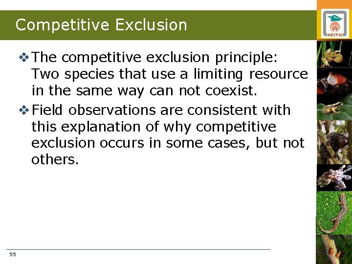 Competitive Exclusion v The competitive exclusion principle: Two species that use a limiting resource