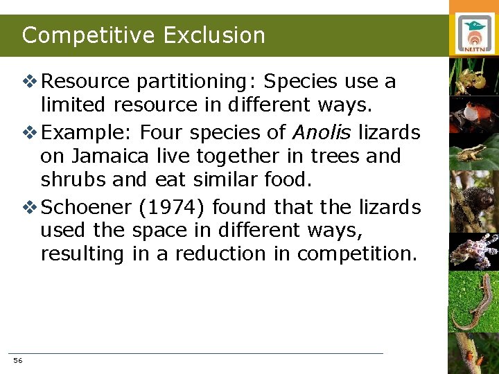 Competitive Exclusion v Resource partitioning: Species use a limited resource in different ways. v