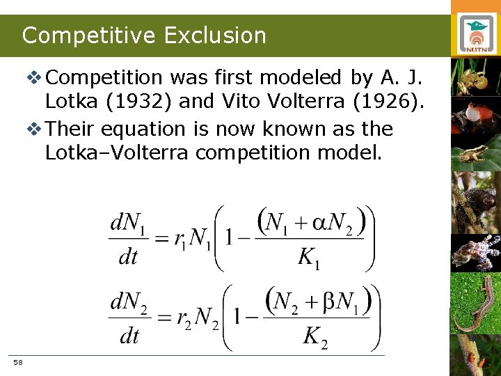 Competitive Exclusion v Competition was first modeled by A. J. Lotka (1932) and Vito