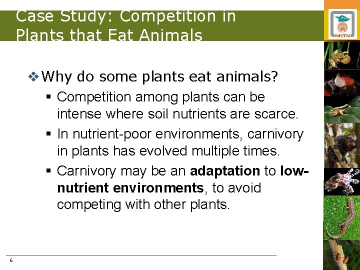 Case Study: Competition in Plants that Eat Animals v Why do some plants eat