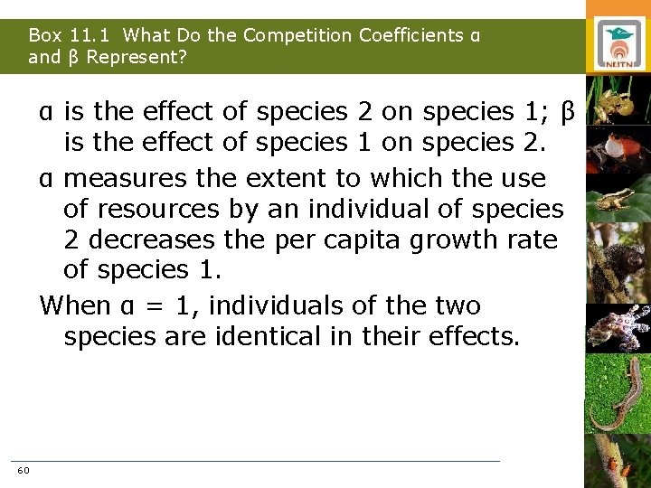 Box 11. 1 What Do the Competition Coefficients α and β Represent? α is
