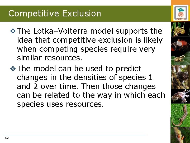 Competitive Exclusion v The Lotka–Volterra model supports the idea that competitive exclusion is likely