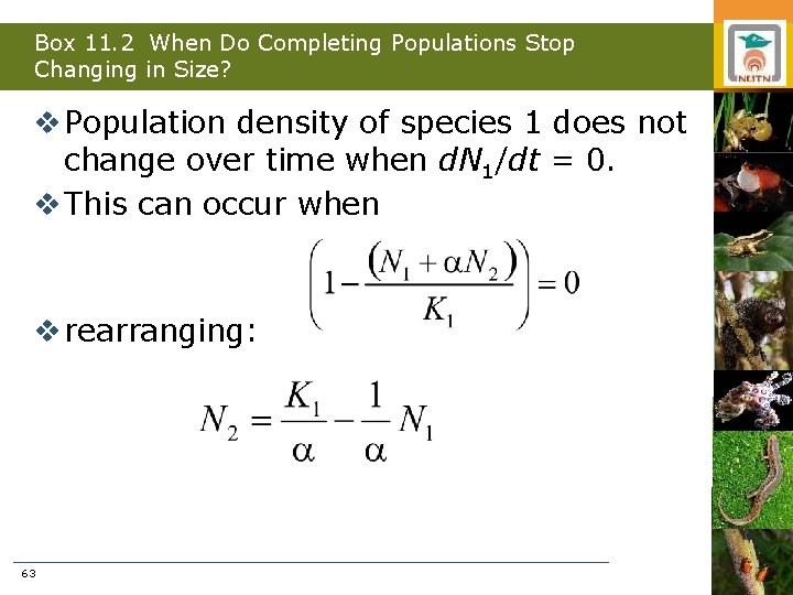 Box 11. 2 When Do Completing Populations Stop Changing in Size? v Population density