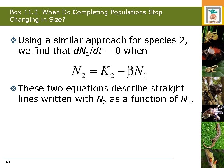 Box 11. 2 When Do Completing Populations Stop Changing in Size? v Using a