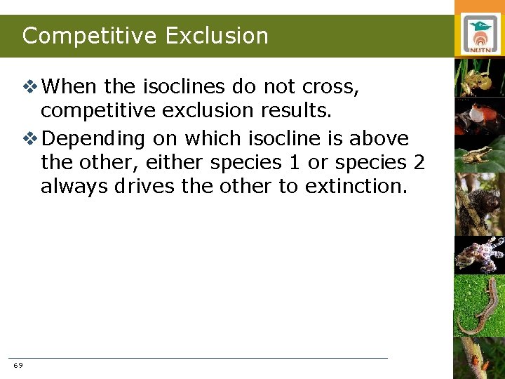 Competitive Exclusion v When the isoclines do not cross, competitive exclusion results. v Depending
