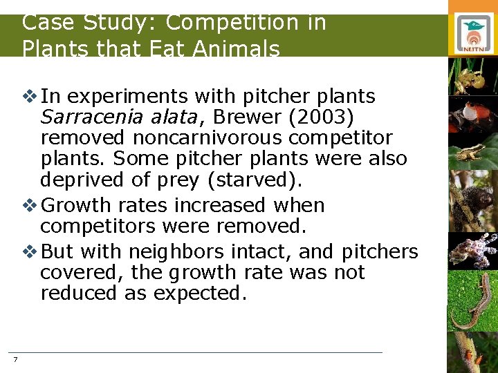 Case Study: Competition in Plants that Eat Animals v In experiments with pitcher plants