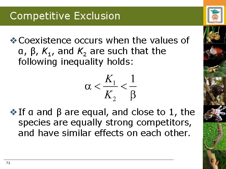 Competitive Exclusion v Coexistence occurs when the values of α, β, K 1, and