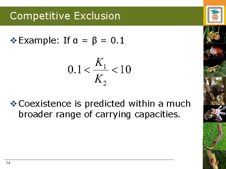 Competitive Exclusion v Example: If α = β = 0. 1 v Coexistence is