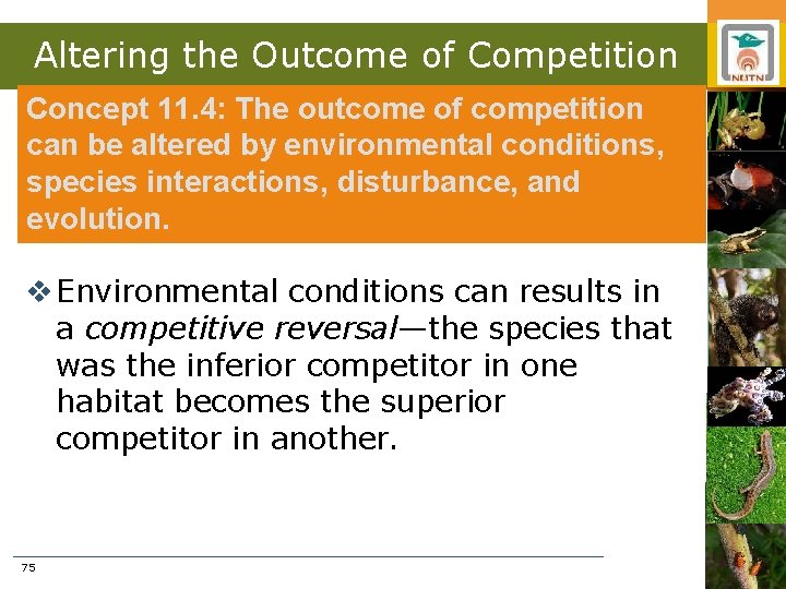 Altering the Outcome of Competition Concept 11. 4: The outcome of competition can be