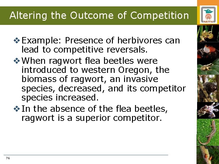 Altering the Outcome of Competition v Example: Presence of herbivores can lead to competitive