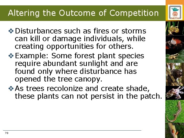 Altering the Outcome of Competition v Disturbances such as fires or storms can kill